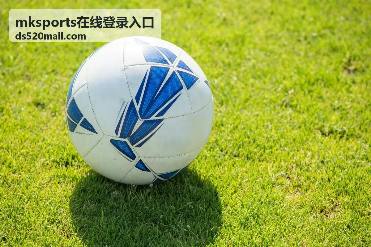 mksports在线登录入口安全与帮助中心的页头背景图