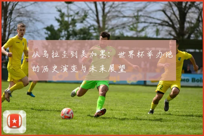 从乌拉圭到美加墨：世界杯举办地的历史演变与未来展望