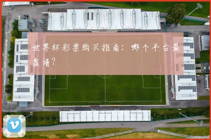 世界杯彩票购买指南：哪个平台最靠谱？