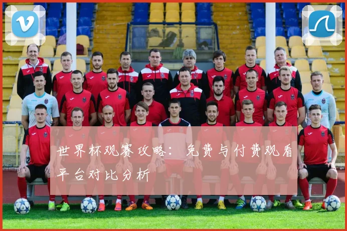 世界杯观赛攻略：免费与付费观看平台对比分析