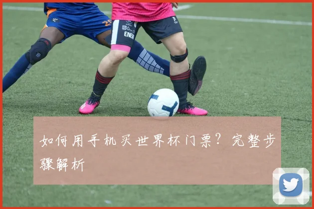 如何用手机买世界杯门票？完整步骤解析