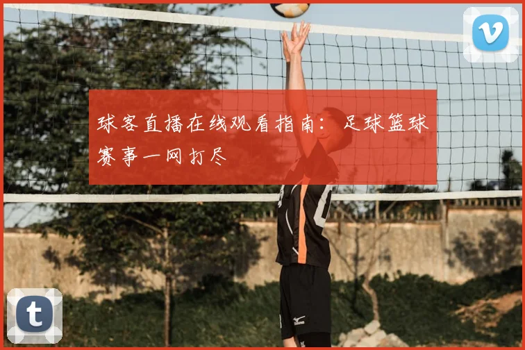 球客直播在线观看指南：足球篮球赛事一网打尽