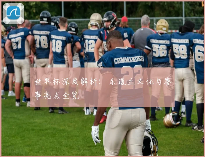 世界杯深度解析：东道主文化与赛事亮点全览
