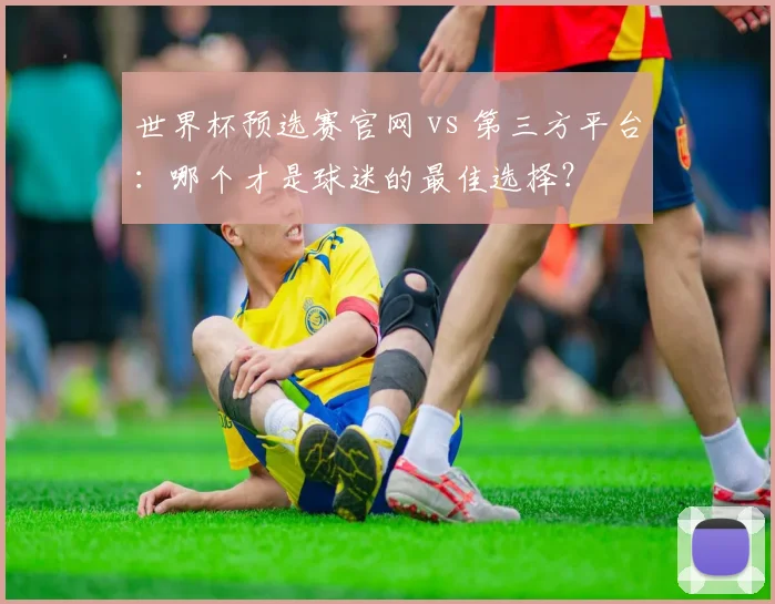 世界杯预选赛官网 vs 第三方平台:哪个才是球迷的最佳选择?