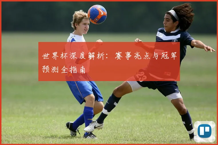 世界杯深度解析：赛事亮点与冠军预测全指南